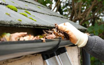 gutter cleaning Lower Faintree, Shropshire