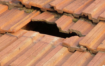 roof repair Lower Faintree, Shropshire