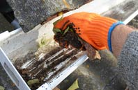 rated Lower Faintree gutter cleaning companies